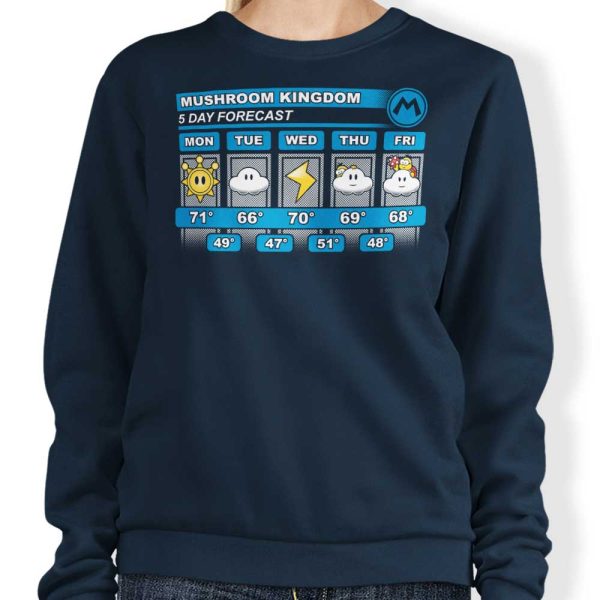 Five Day Forecast - Sweatshirt For Cheap